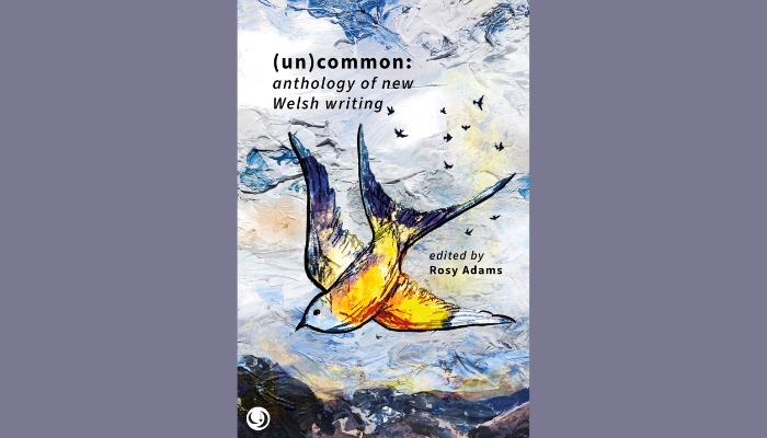 A new anthology of writing by Representing Wales writers published by Lucent Dreaming
