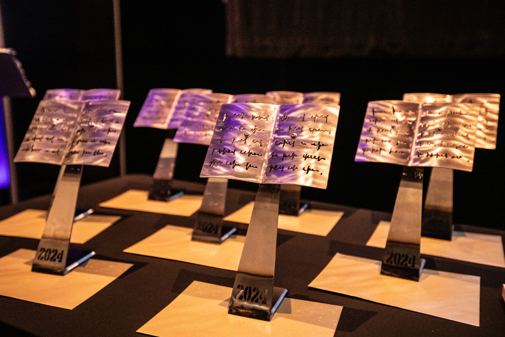 Wales Book of the Year Awards Ceremony 2025 – ticket