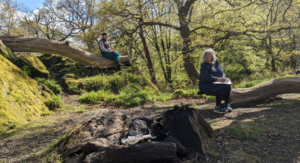 Two individuals sit writing on tree trunks in a forest setting